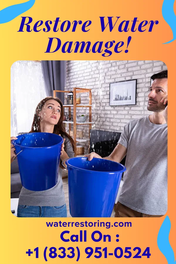 water restoration Expert Water Solutions & Sons Parrottsville