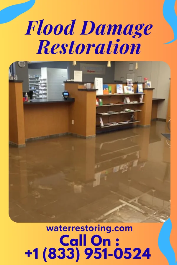 Flood Damage Restoration in Parrottsville, TN