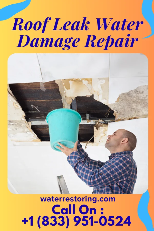 Roof Leak Water Damage Repair in Parrottsville, TN