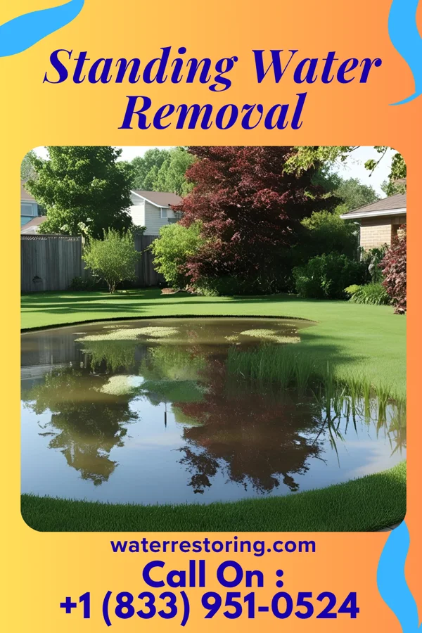 Standing Water Removal in Parrottsville, TN